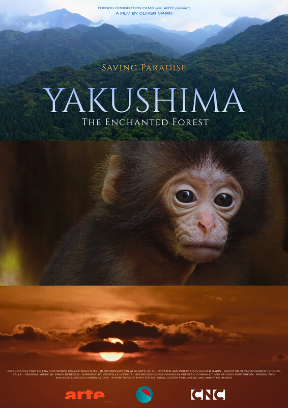 Yakushima, The Enchanted Forest