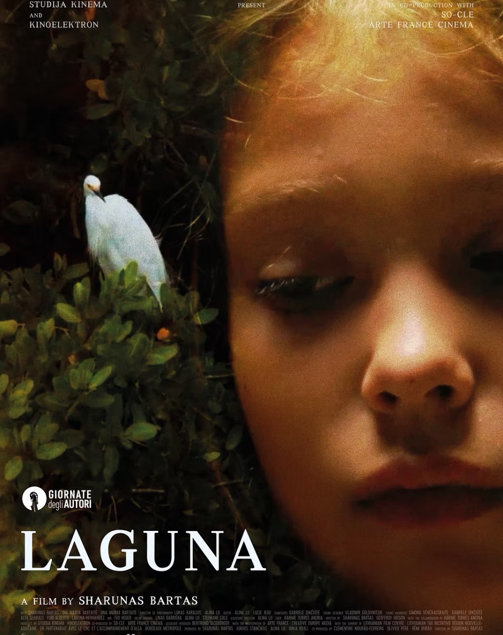LAGUNA