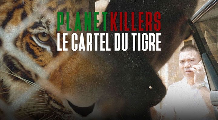Planet Killers - The Tiger Cartels